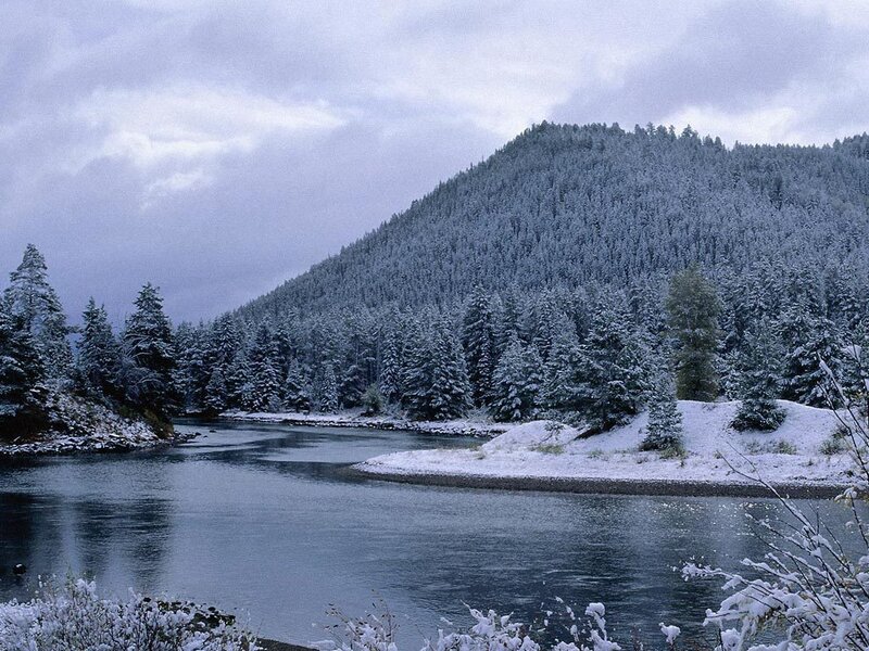 Snowy river in forested valley