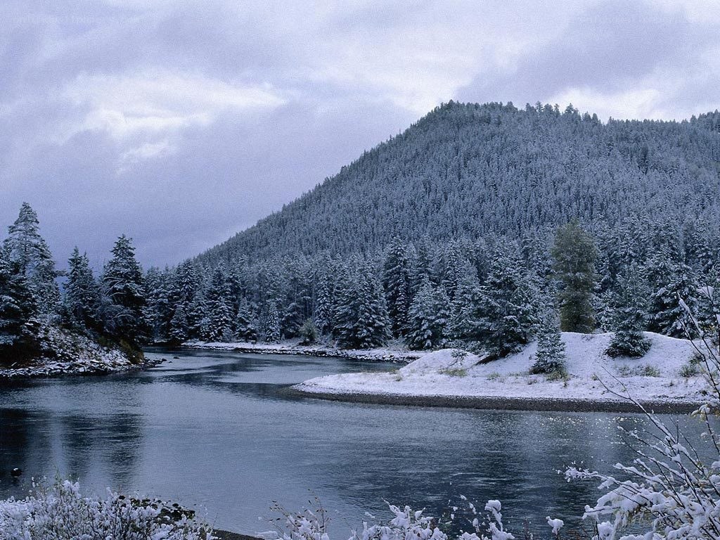 Snowy river in forested valley