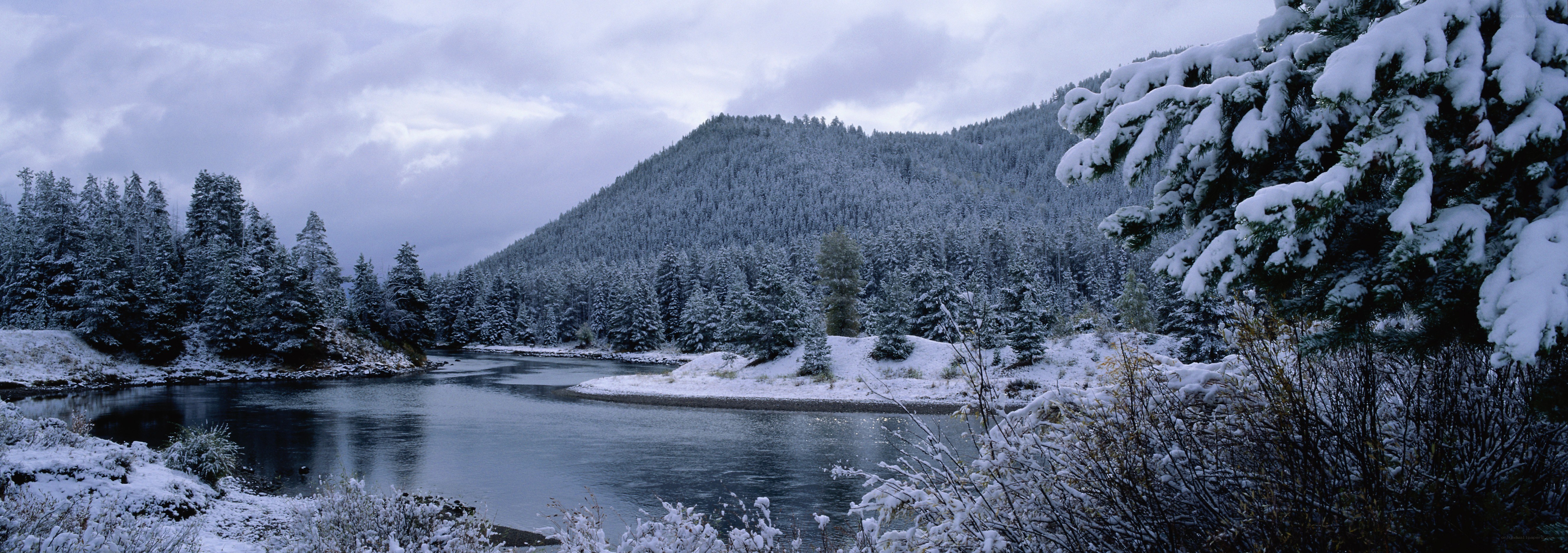 Snowy river in forested valley