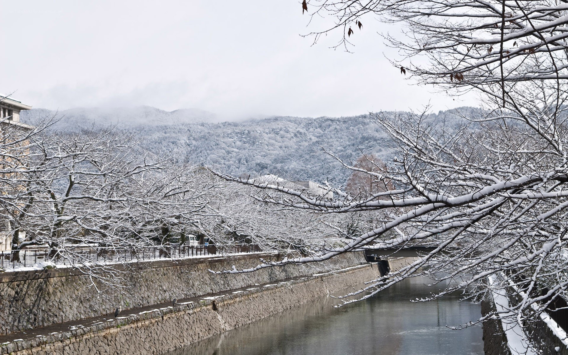 Snowy river in Kyoto