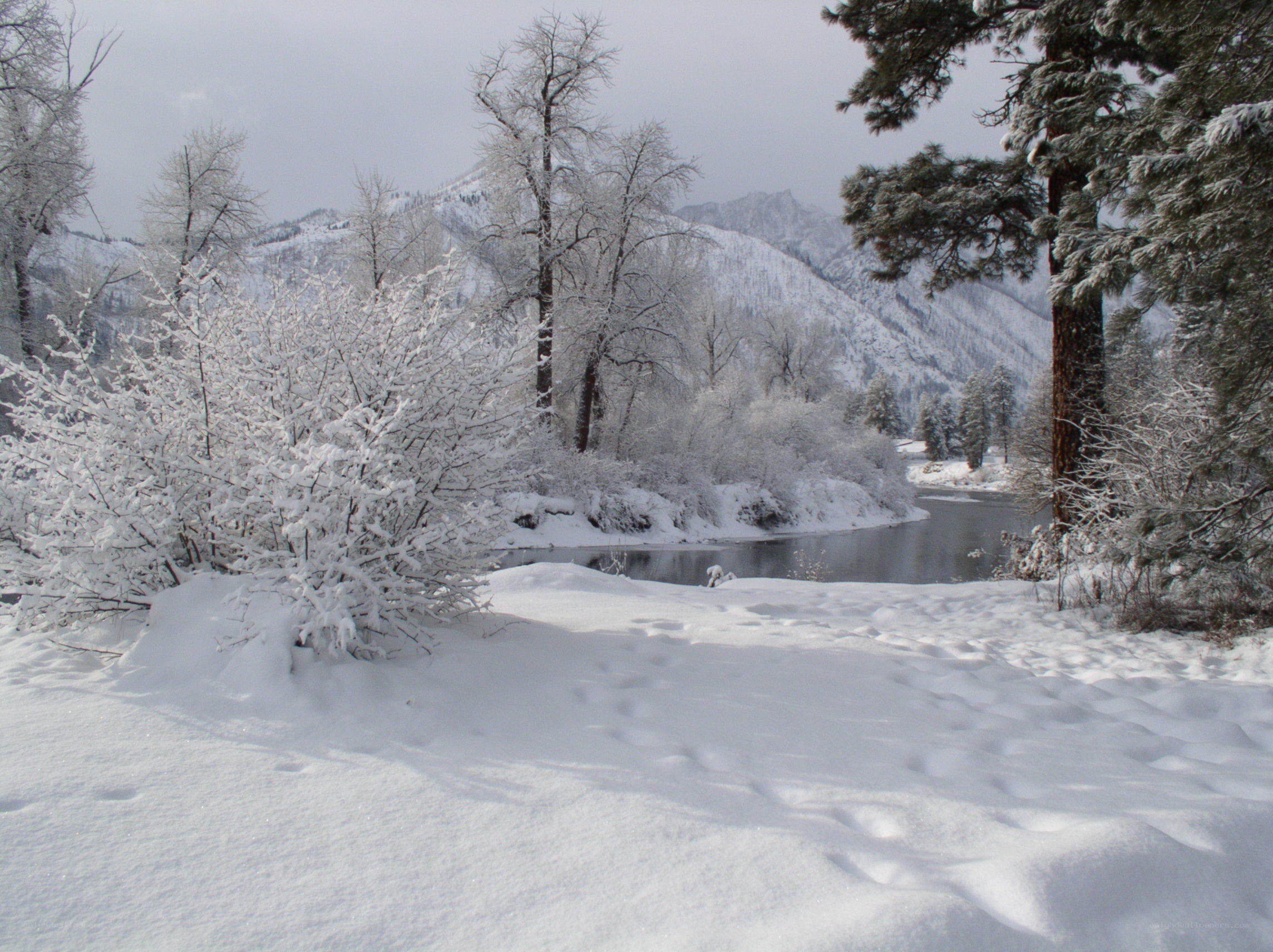 Snowy river in mountain valley