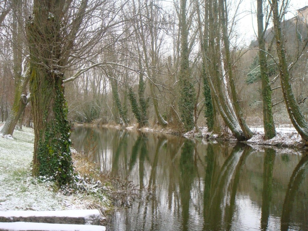 Snowy river in winter