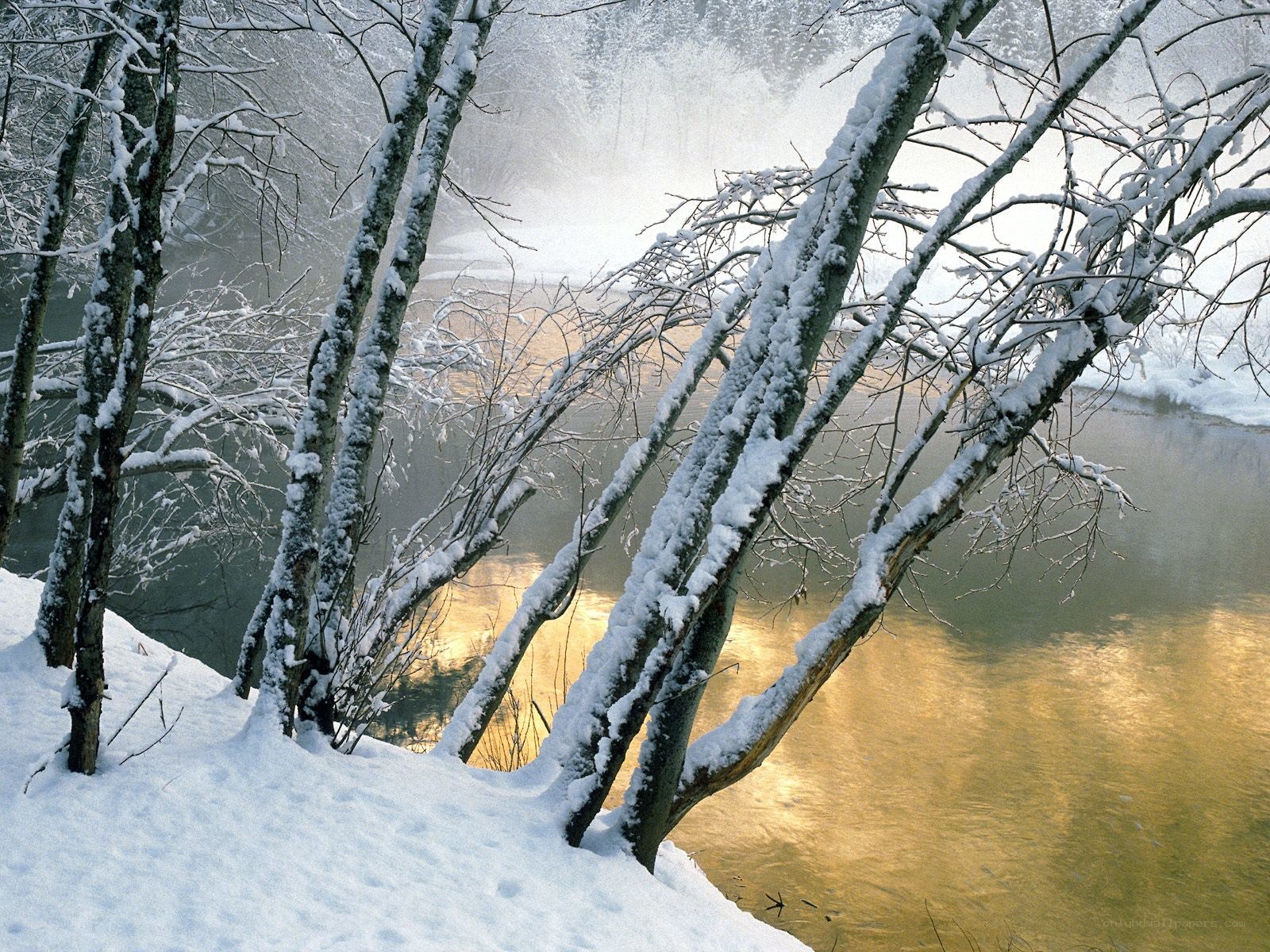 Snowy river in winter
