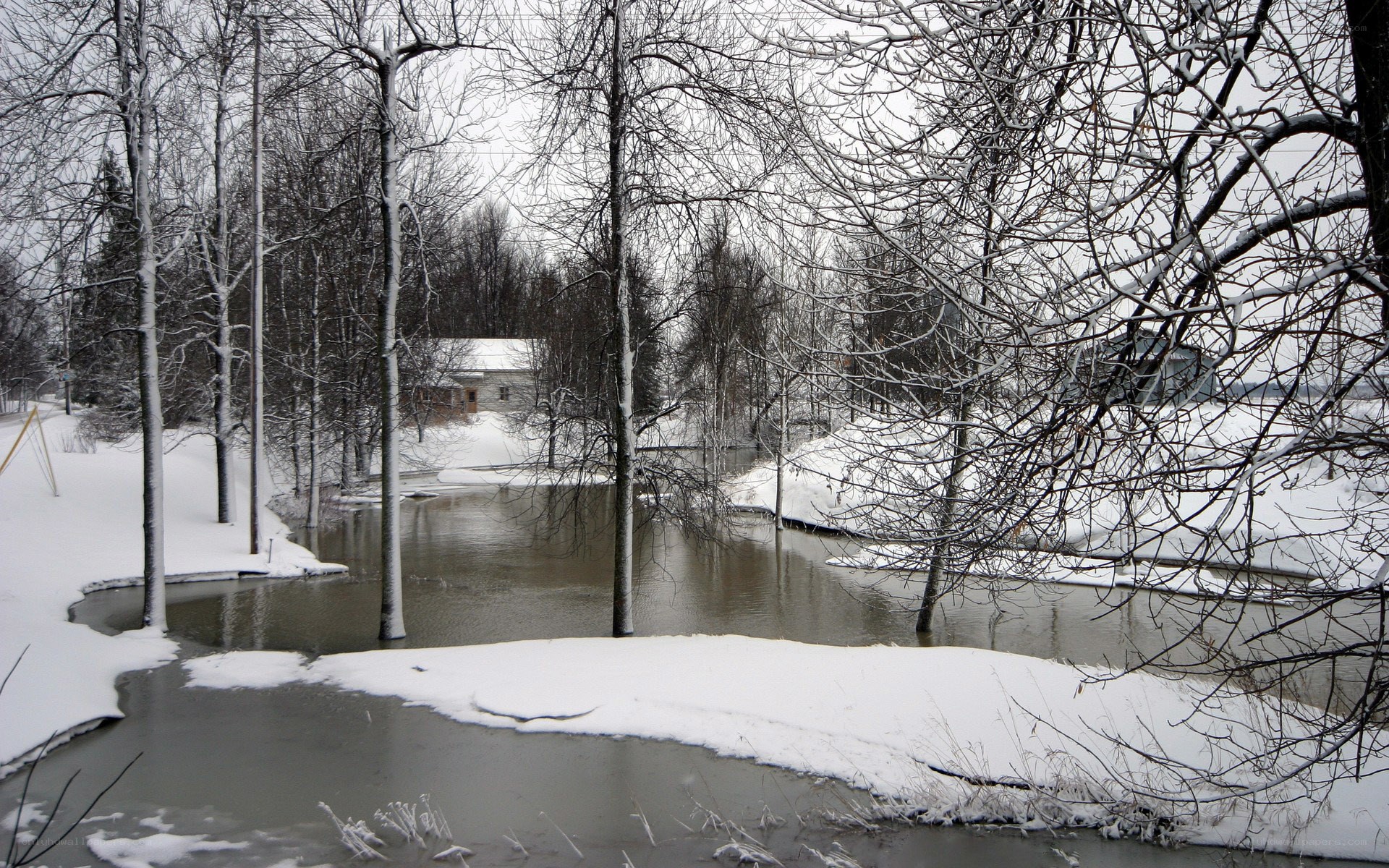 Snowy river in winter