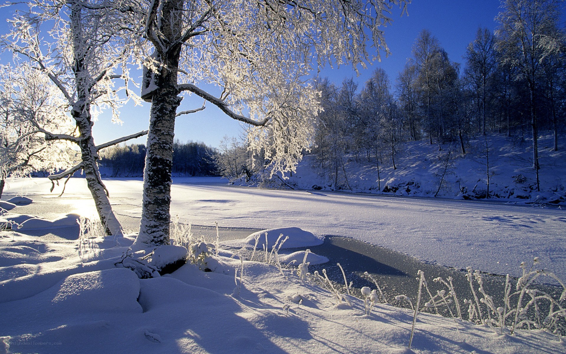 Snowy river in winter