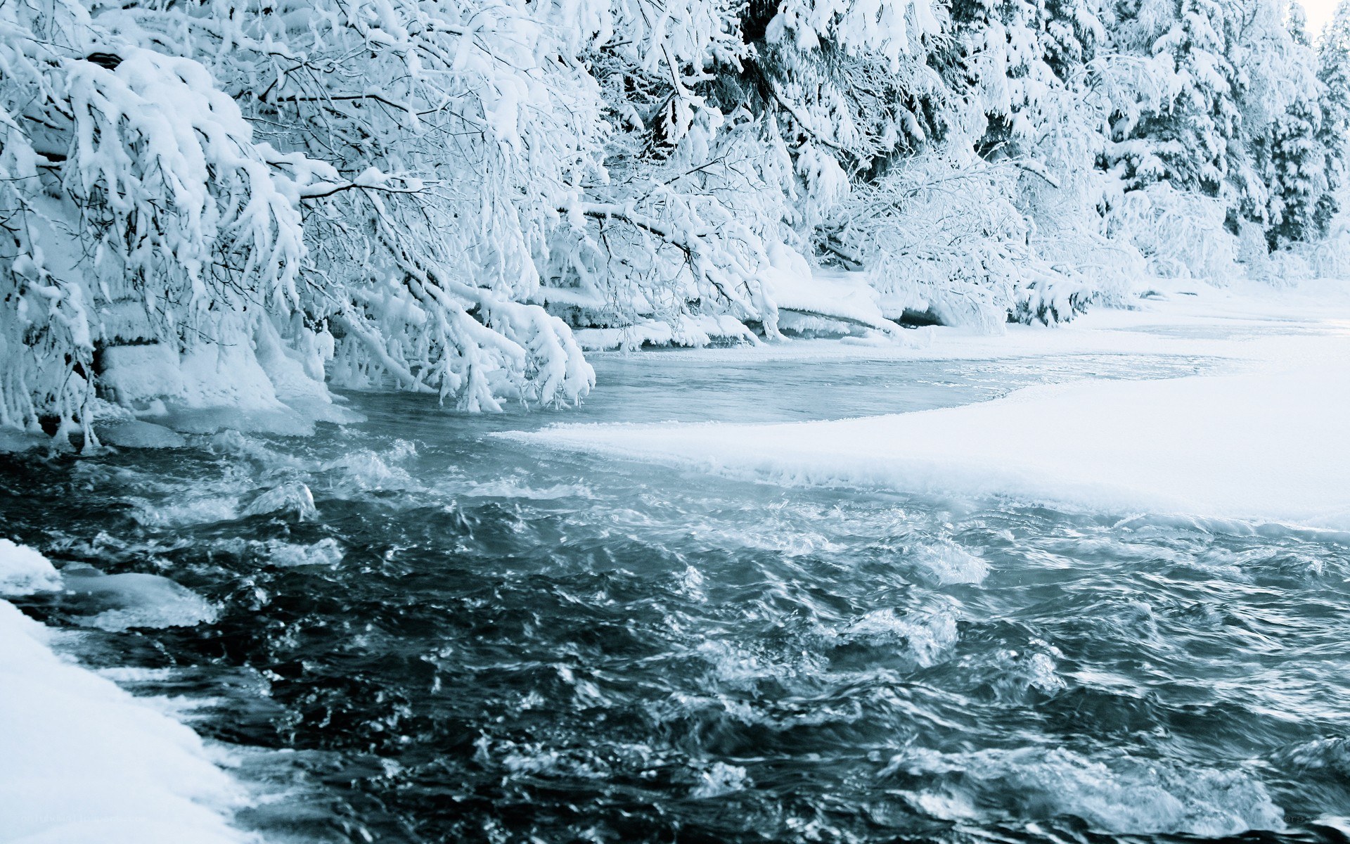 snowy river in winter
