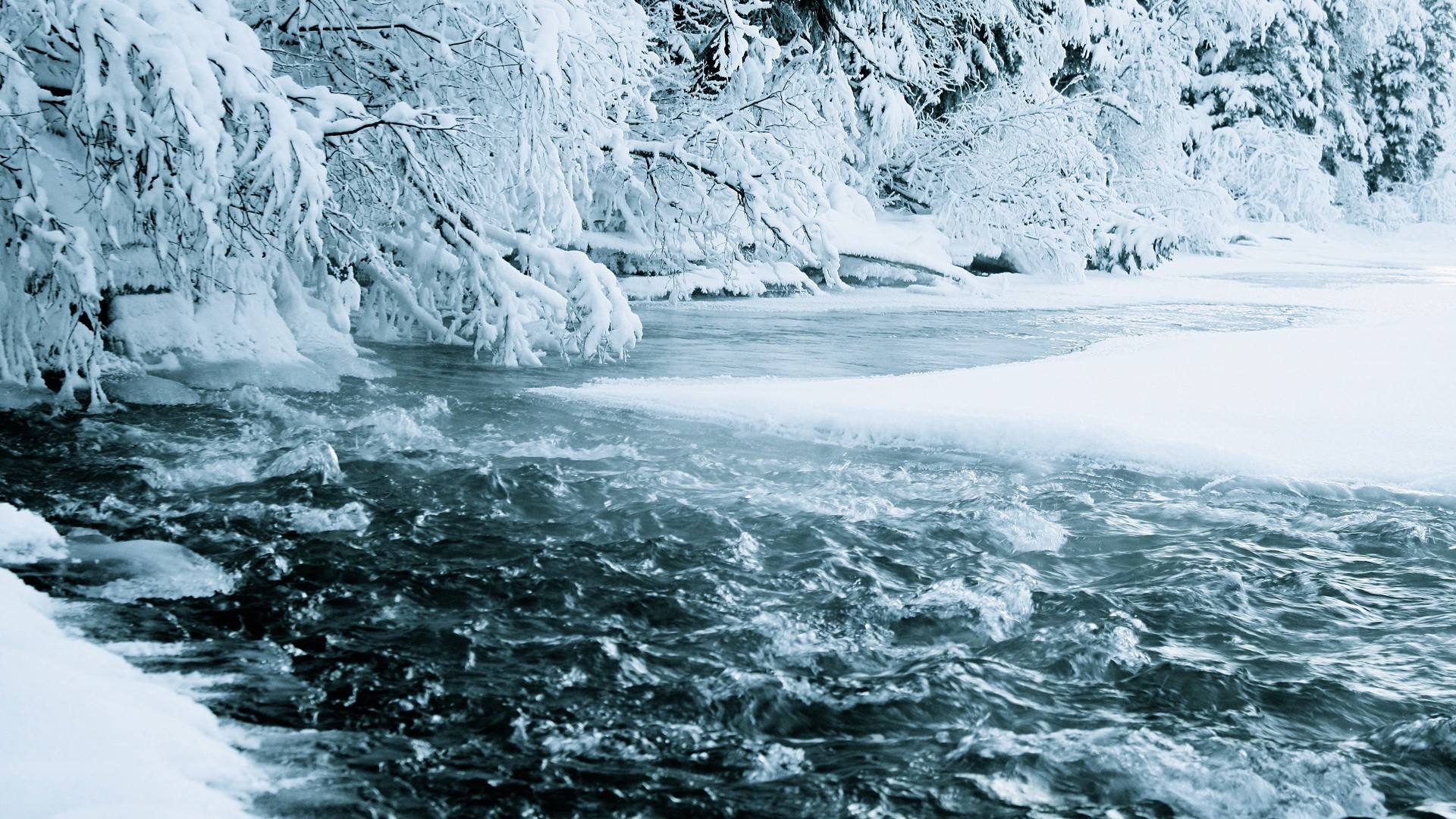 snowy river in winter