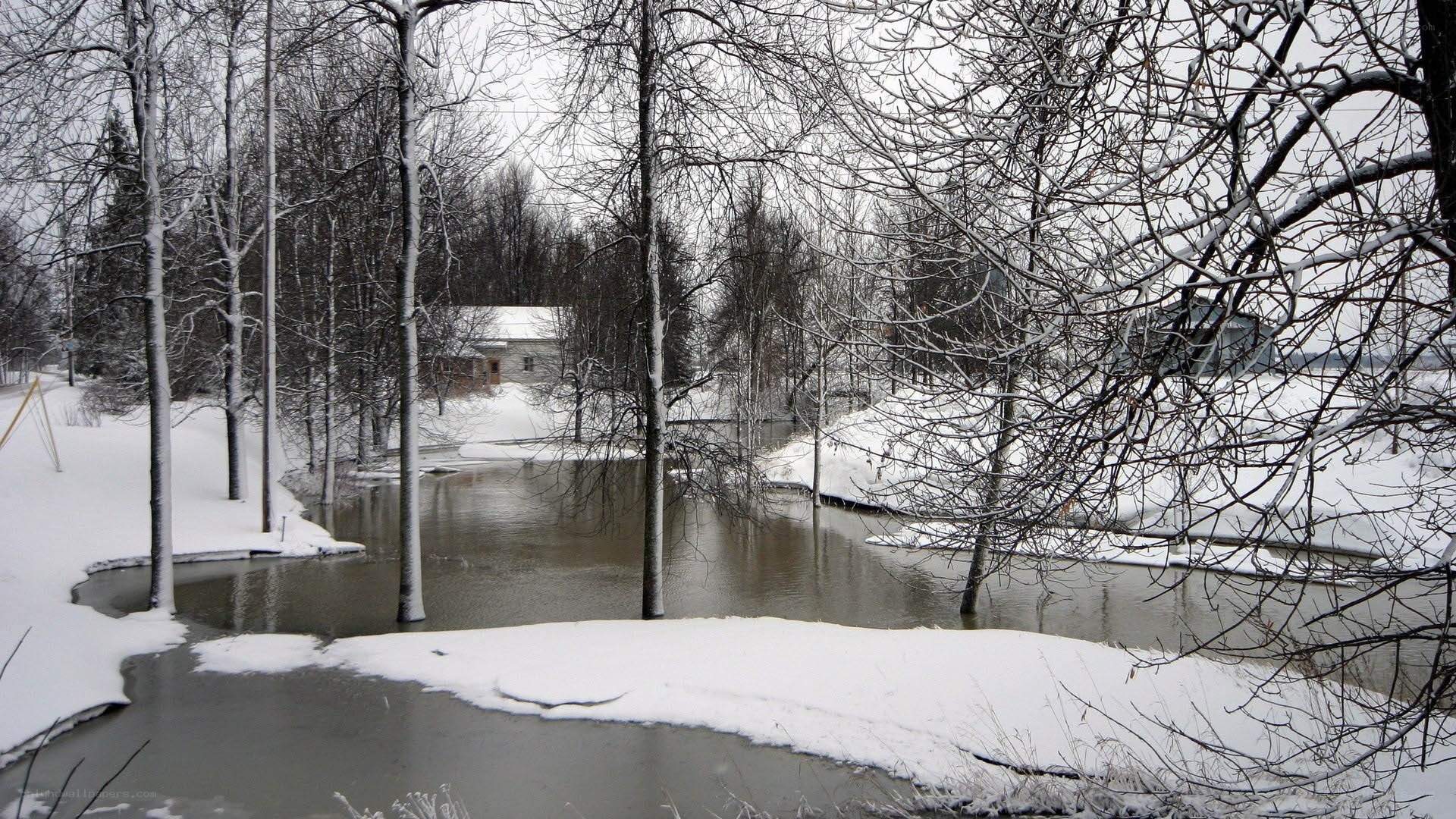 Snowy river in winter