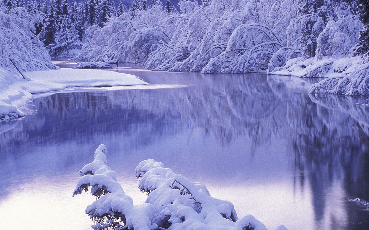 Snowy river in winter