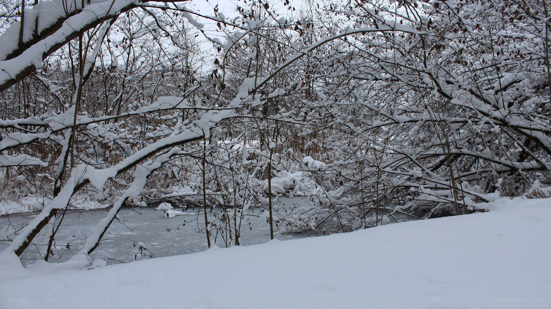 snowy river in winter
