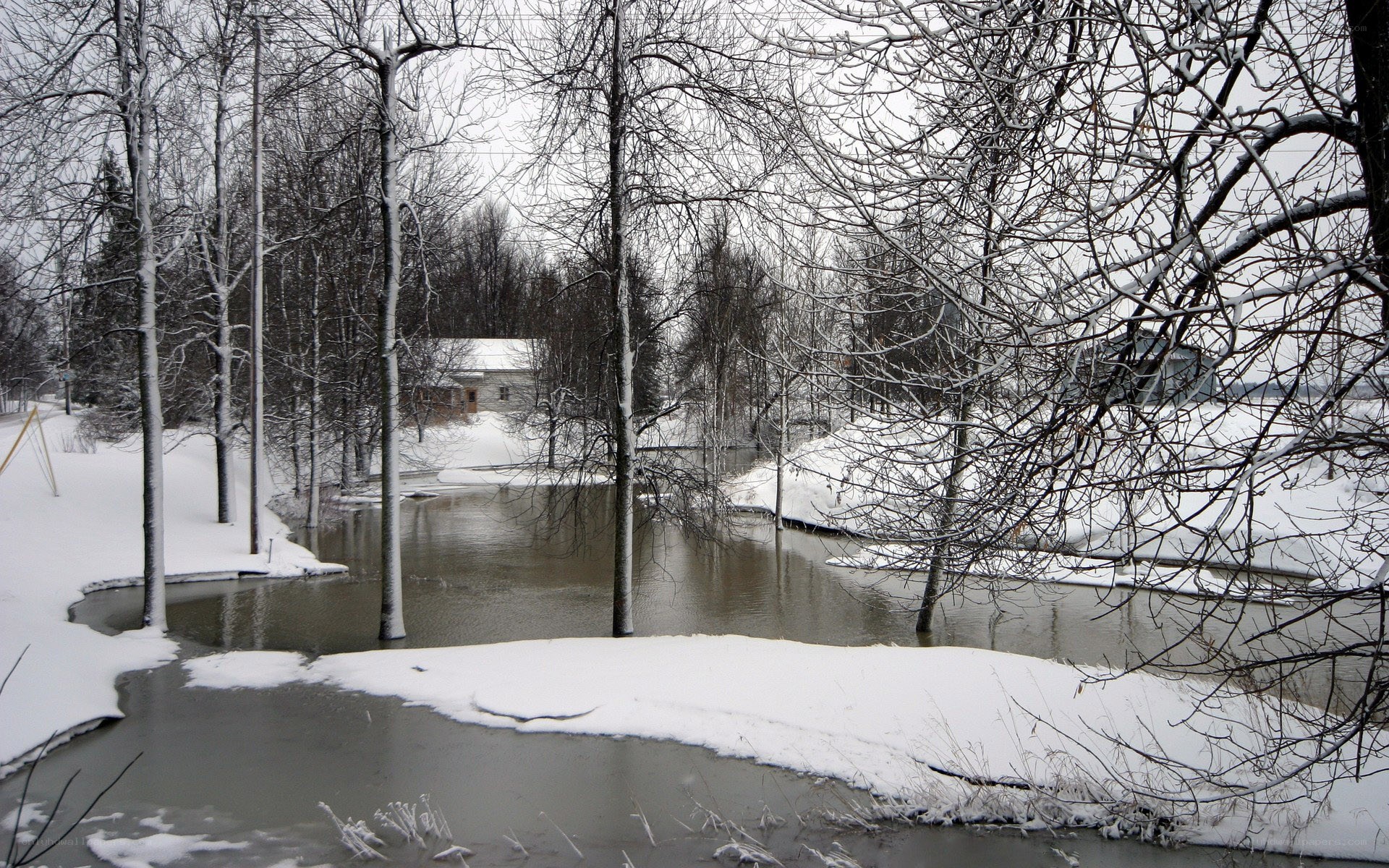 Snowy river in winter