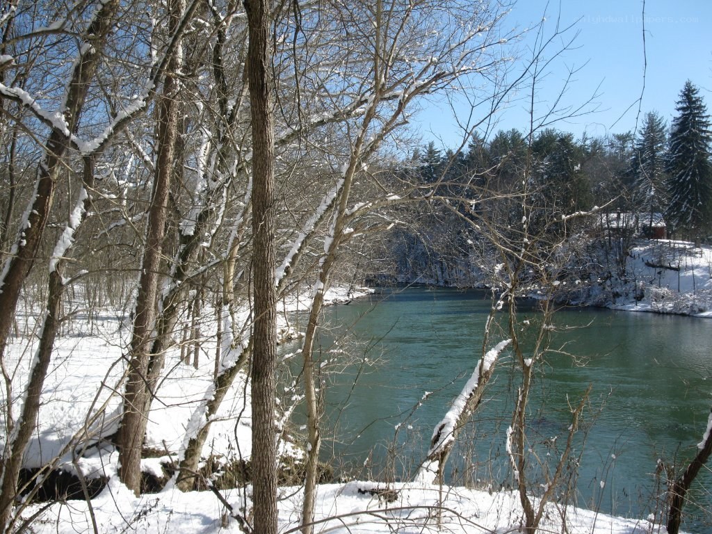 snowy river in winter