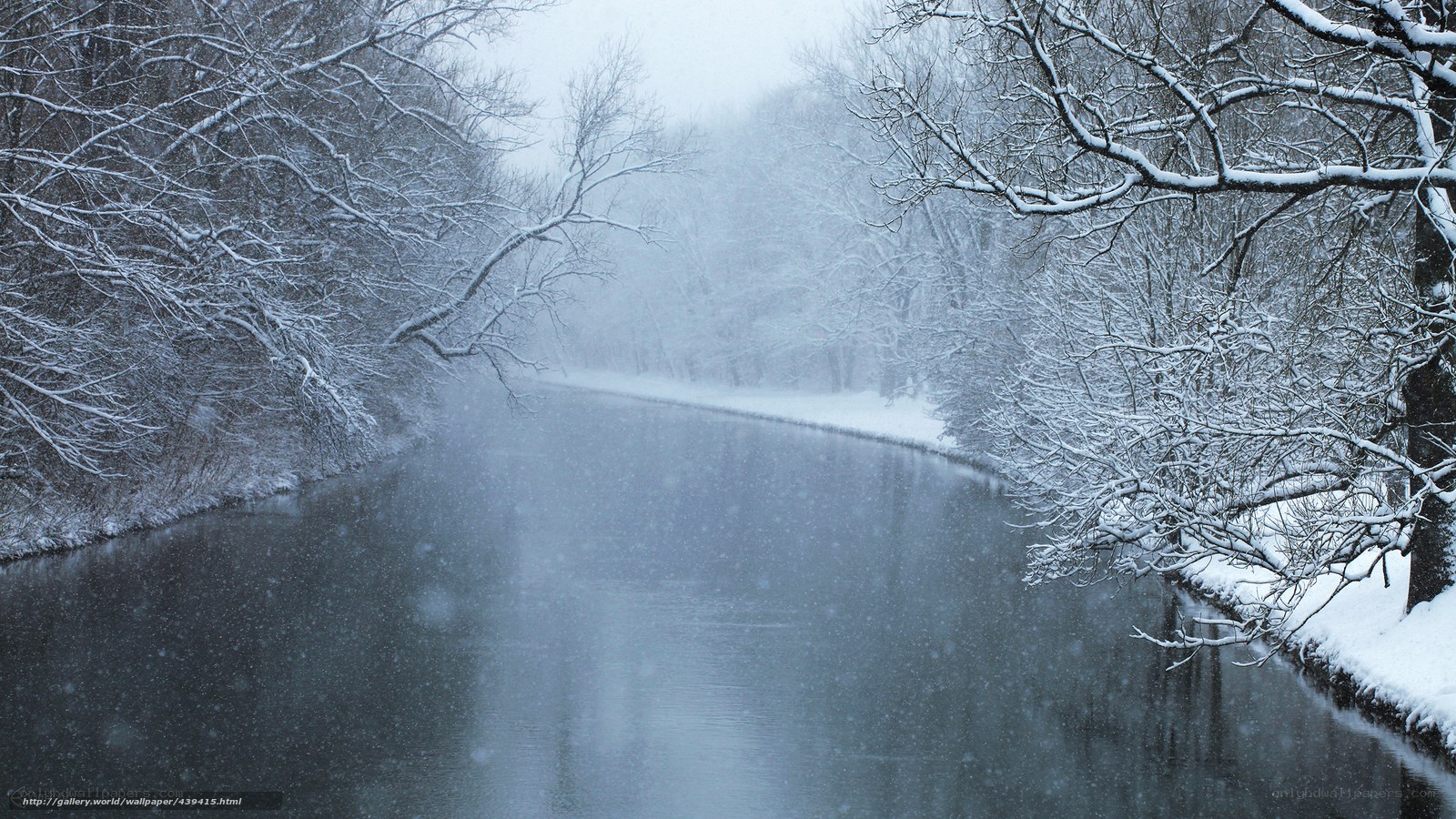 Snowy River in Winter