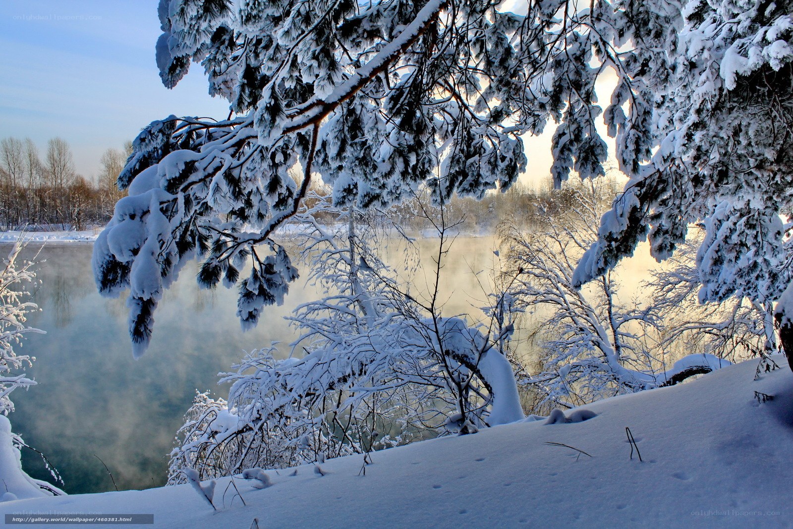 Snowy river in winter