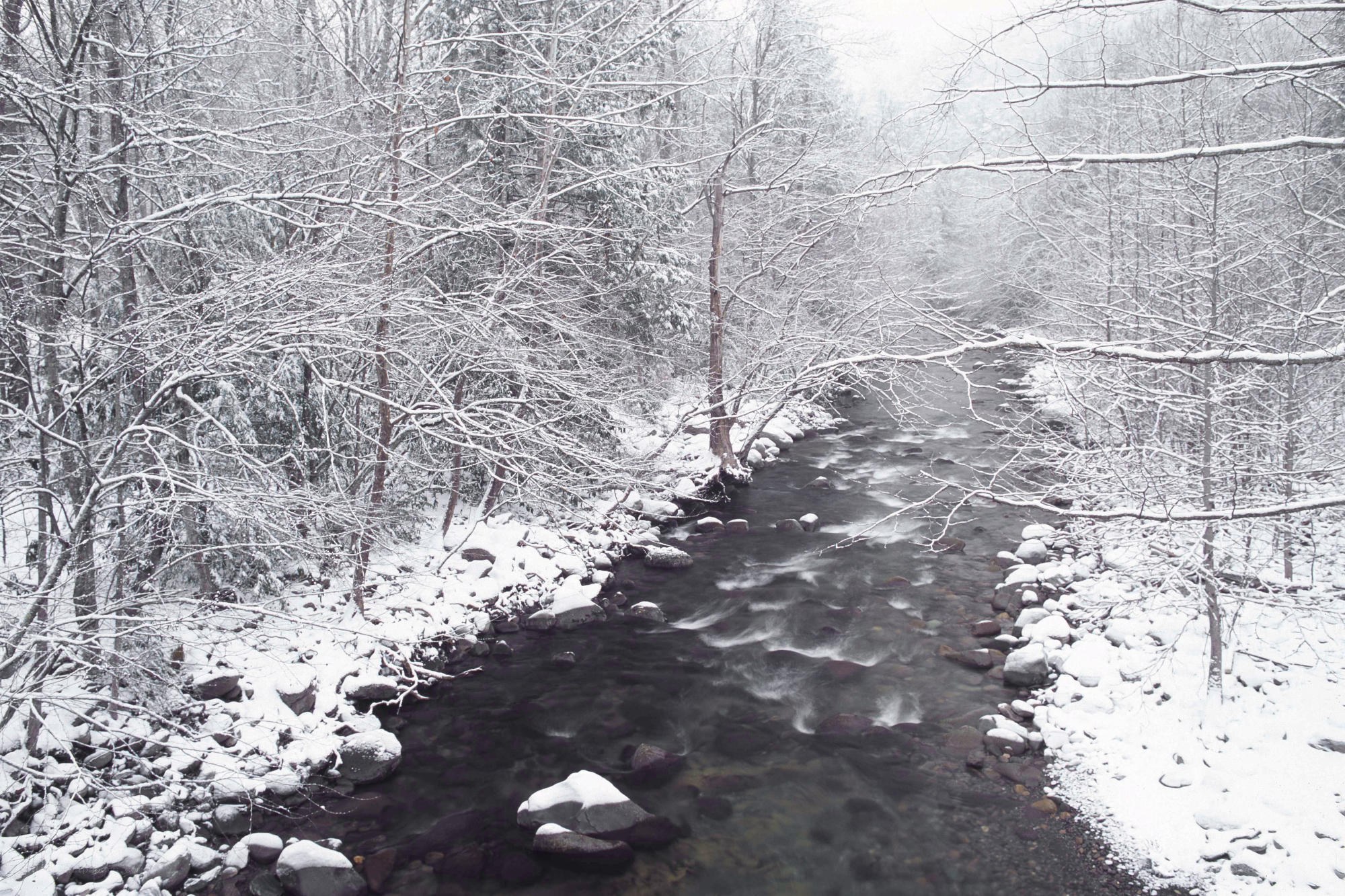 Snowy river in winter forest