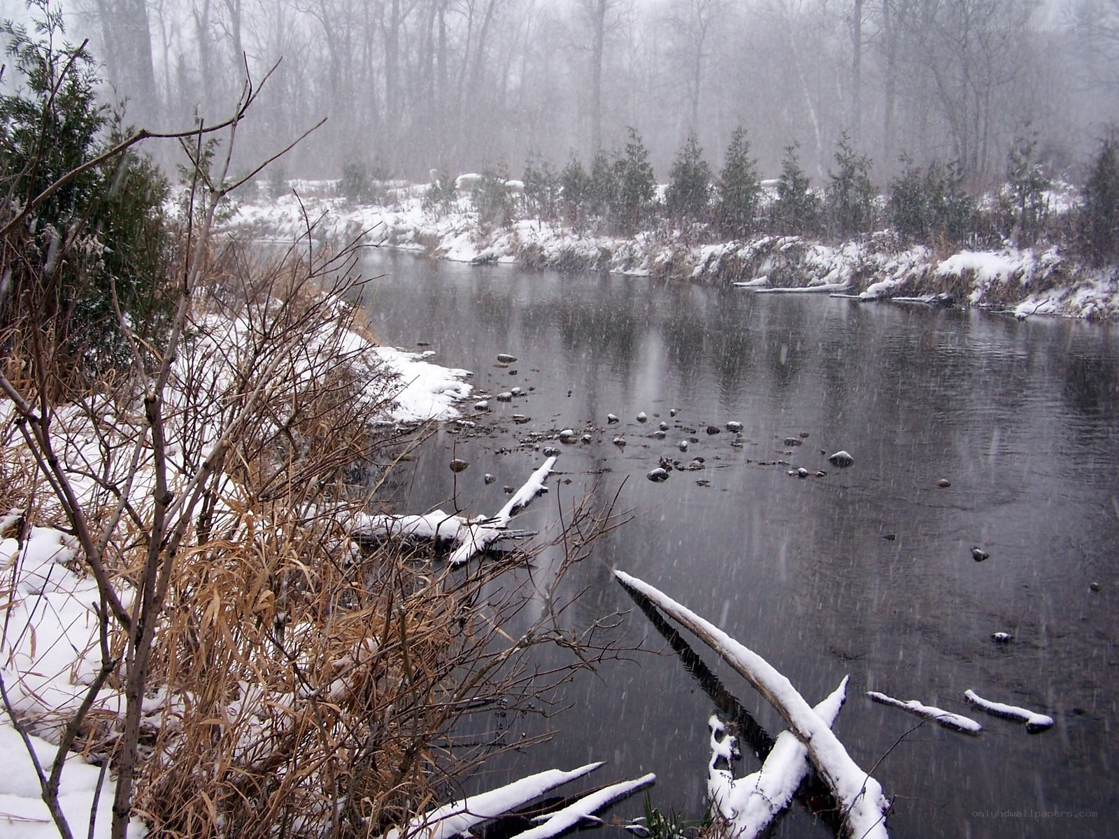 Snowy river in winter forest