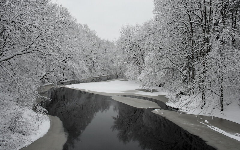 Snowy river in winter forest