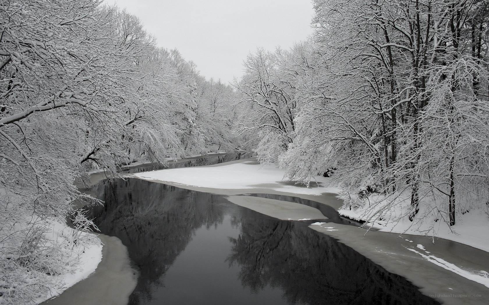 Snowy river in winter forest