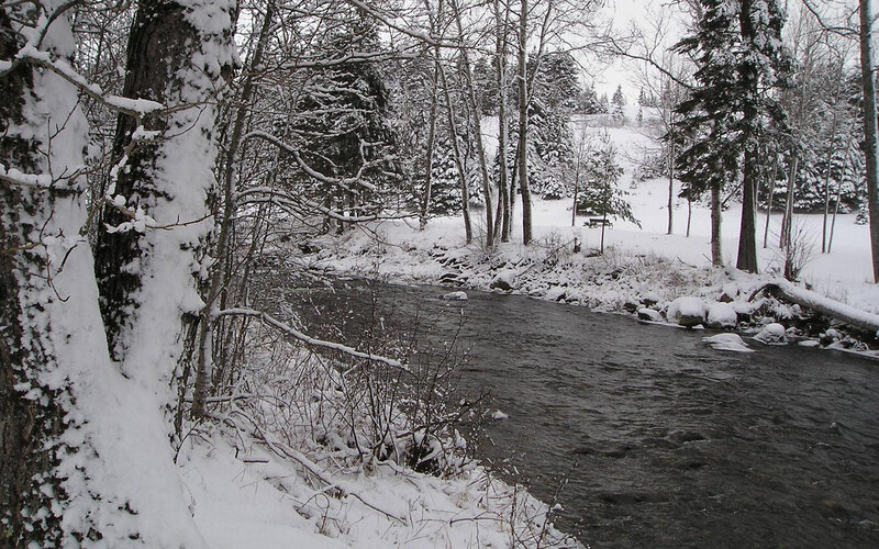 snowy river in winter forest
