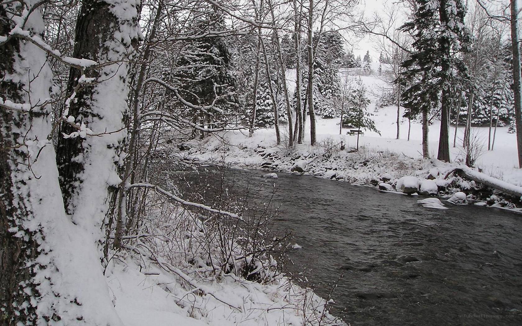 snowy river in winter forest