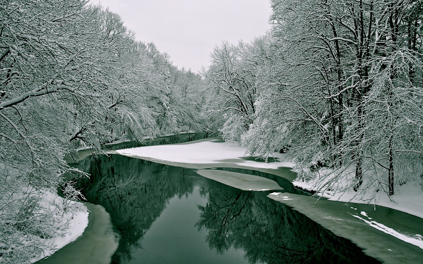 Snowy river in winter forest