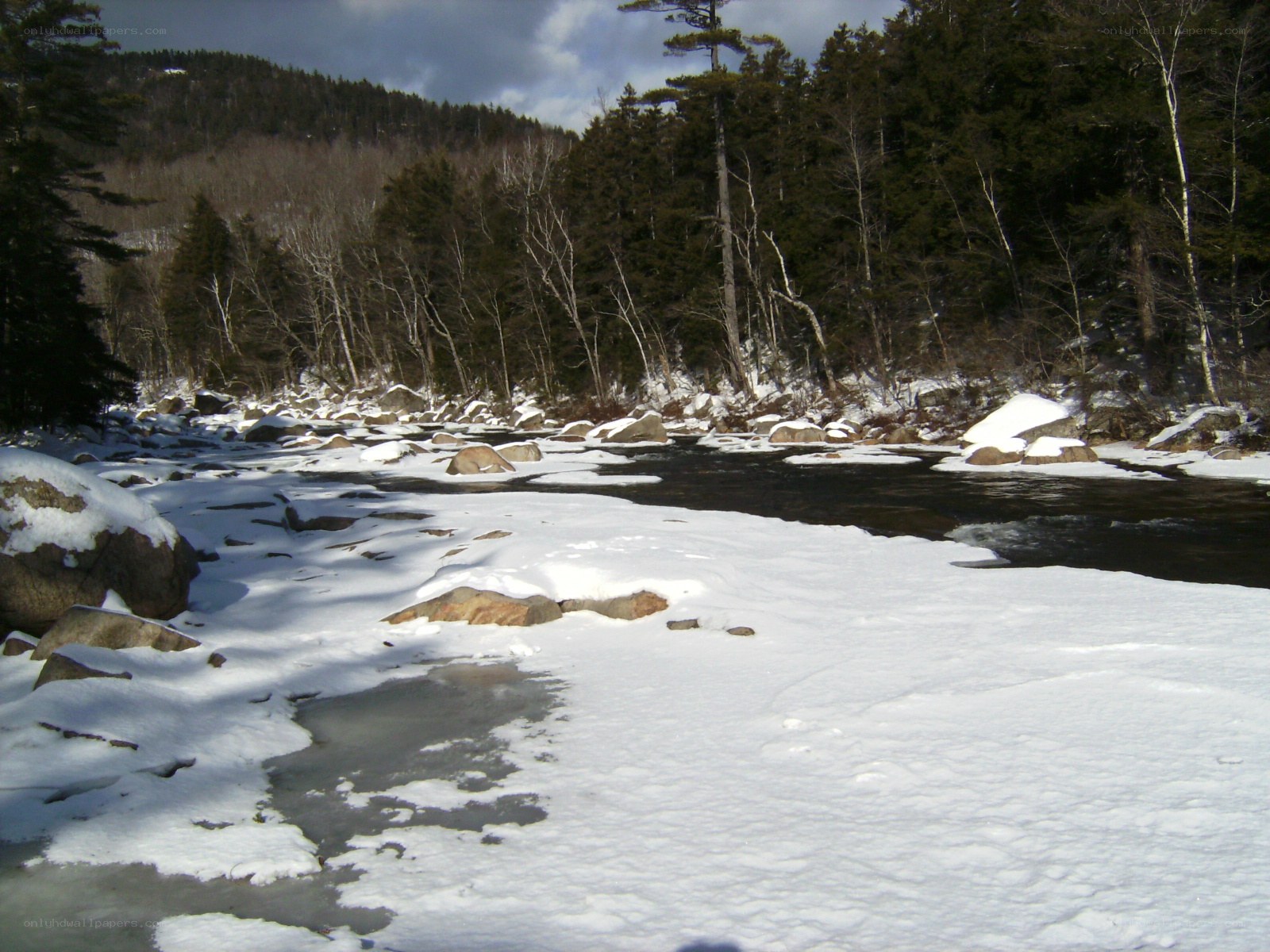 snowy river in winter forest