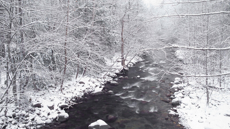 snowy river in winter forest