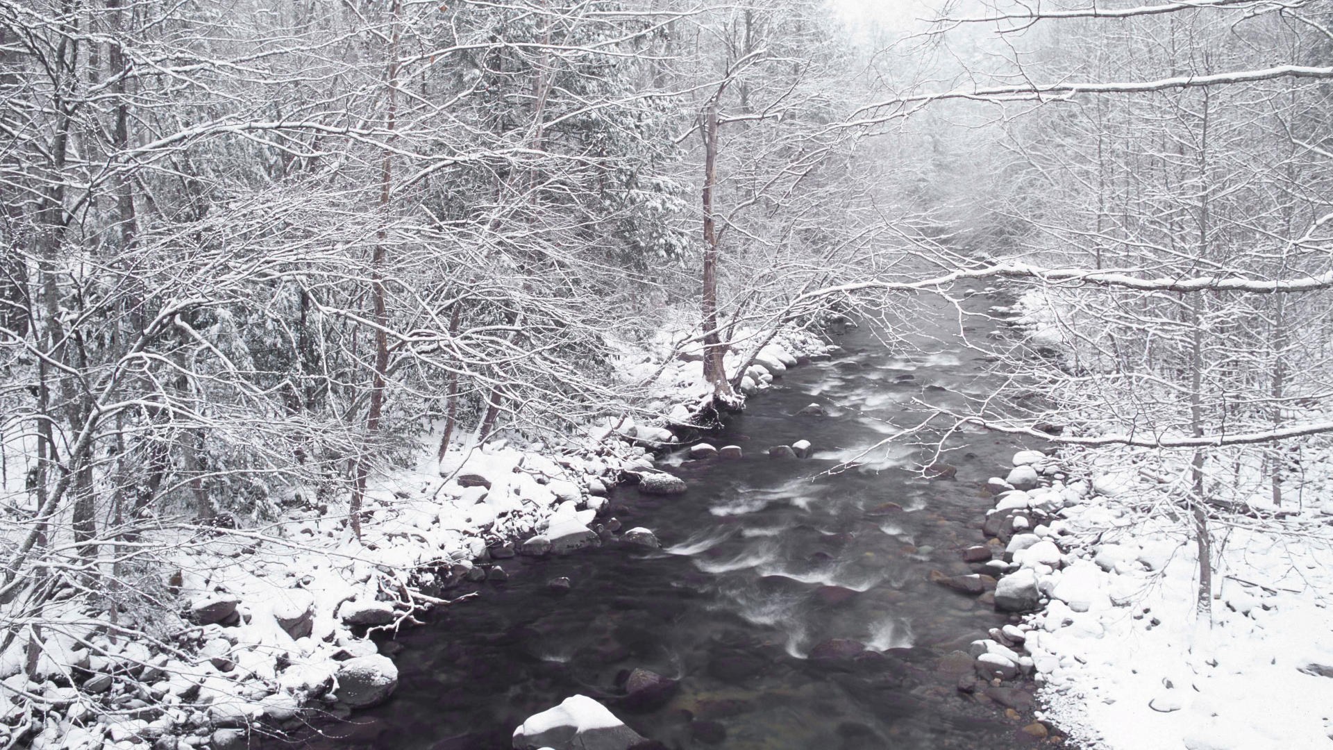 snowy river in winter forest