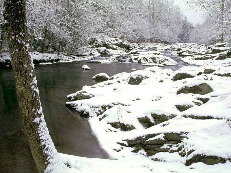 Snowy river in winter forest