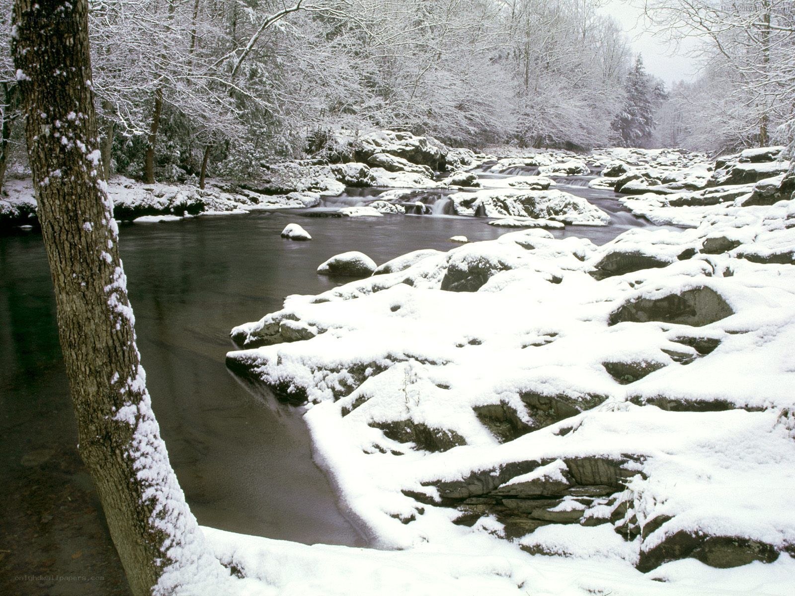 Snowy river in winter forest