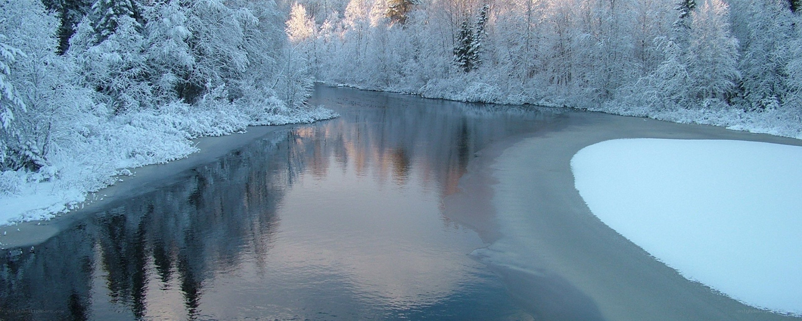 Snowy river in winter forest