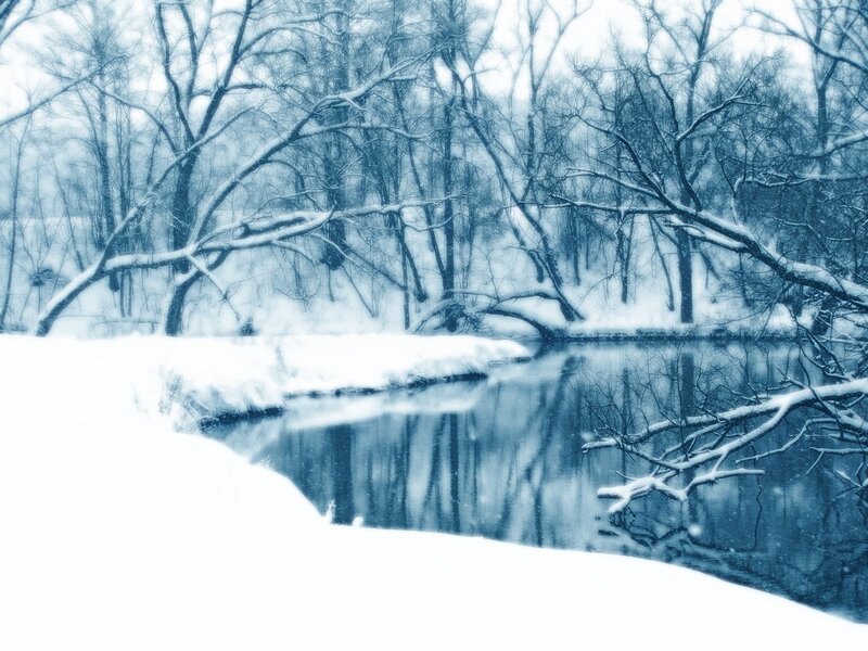 Snowy river in winter forest