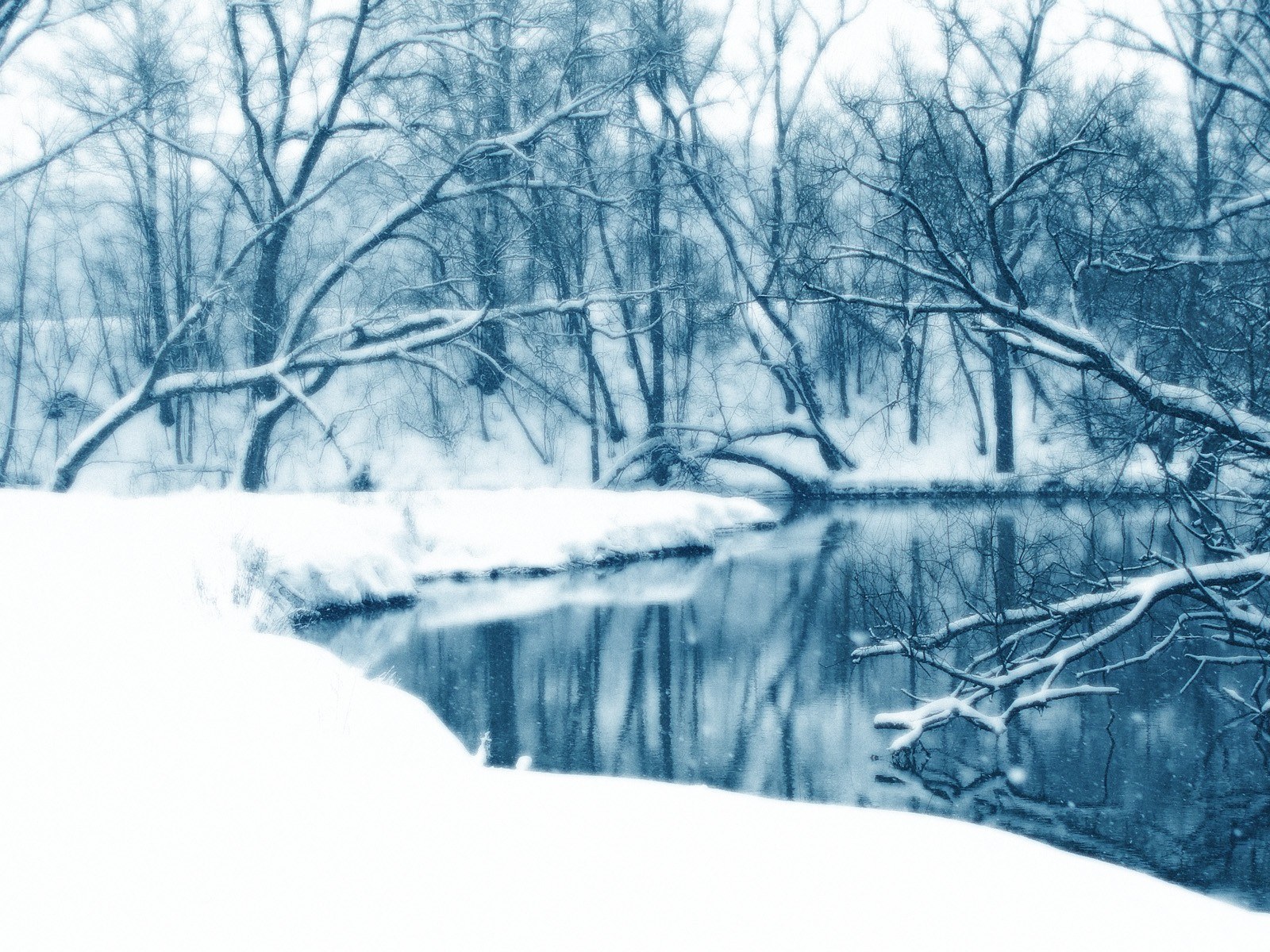 Snowy river in winter forest