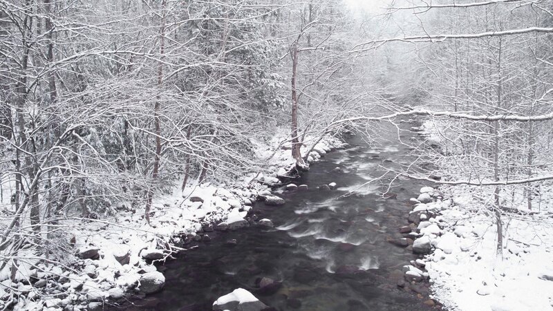 snowy river in winter forest