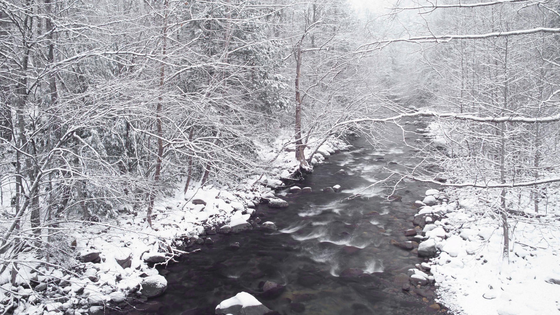 snowy river in winter forest