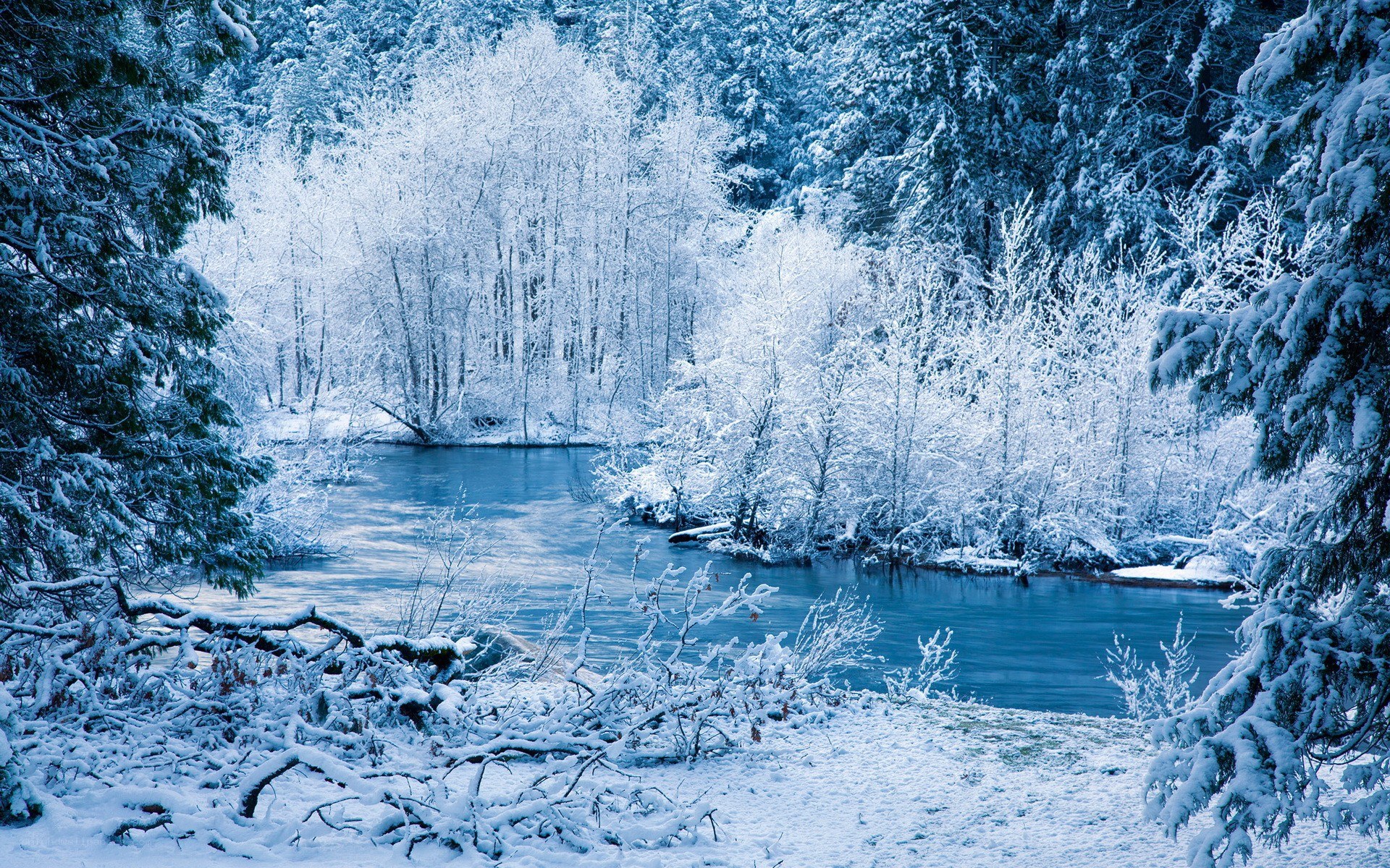Snowy river in winter forest
