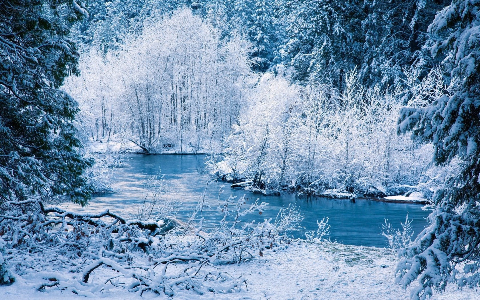Snowy river in winter forest