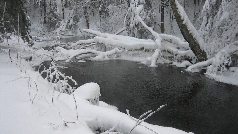 snowy river in winter forest