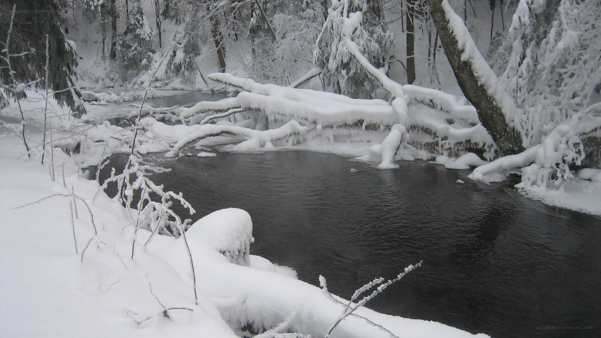snowy river in winter forest