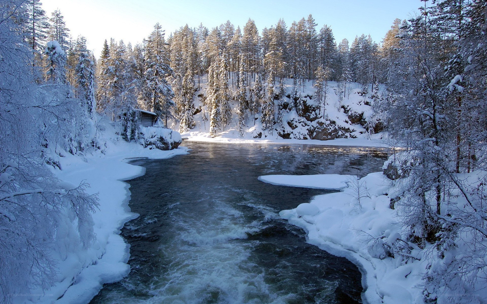 snowy river in winter forest