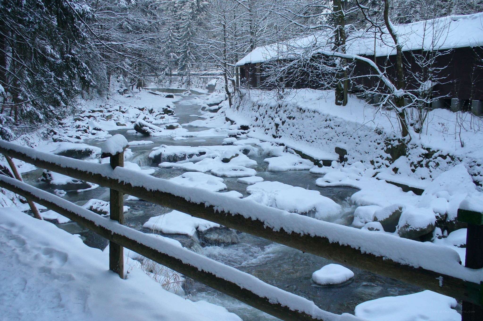 Snowy river in winter forest