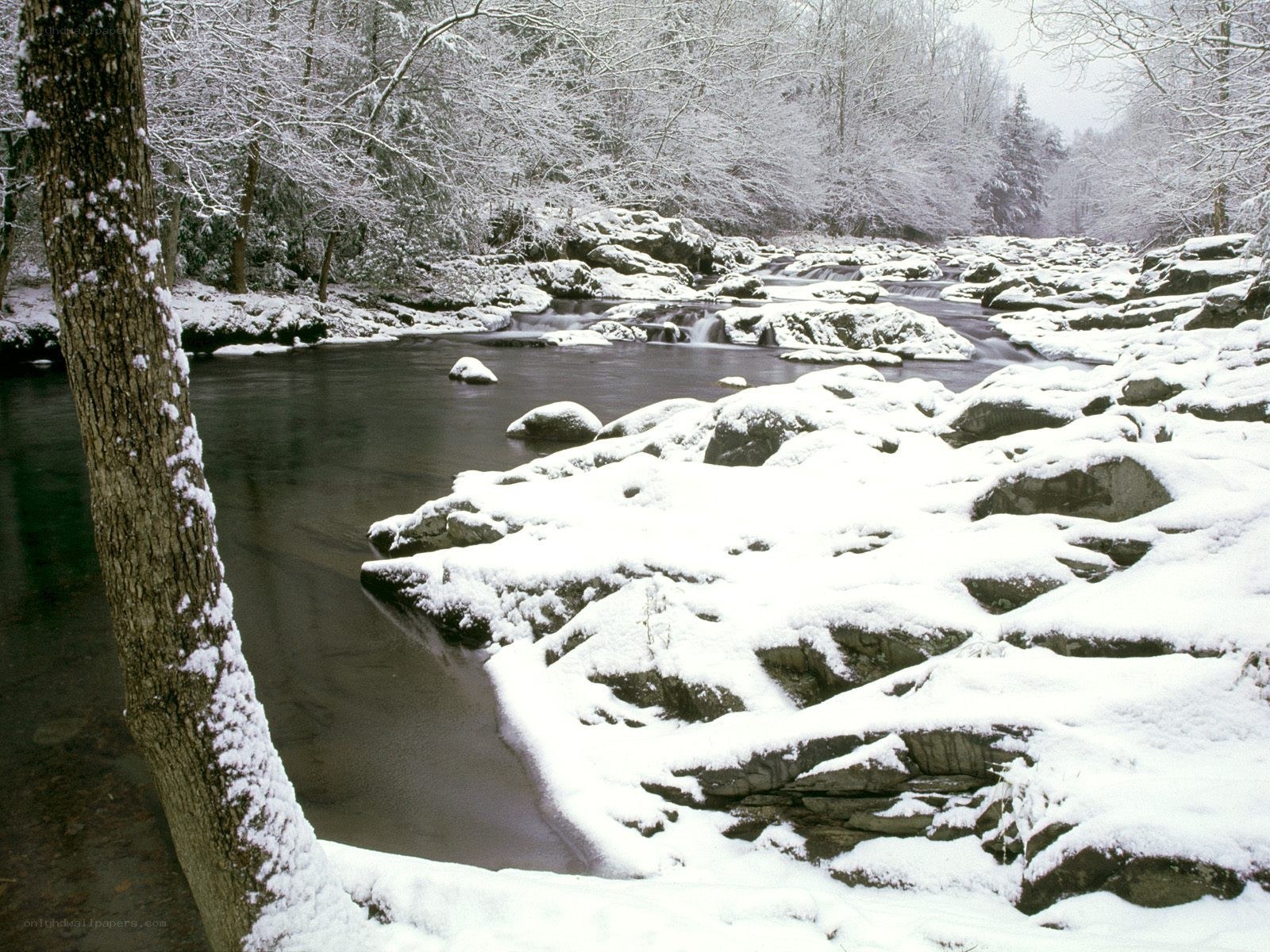 Snowy river in winter forest