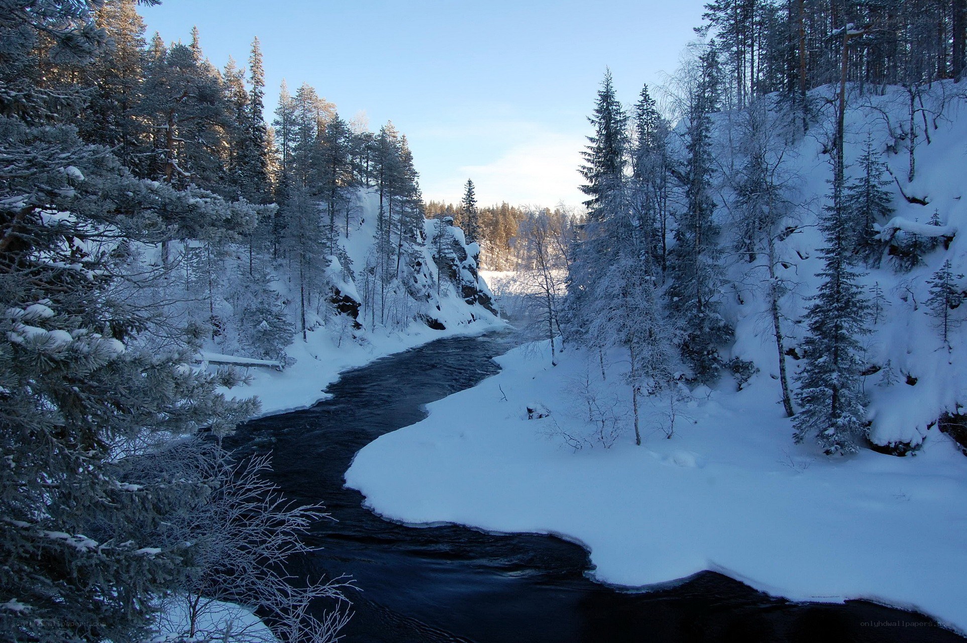 snowy river in winter forest
