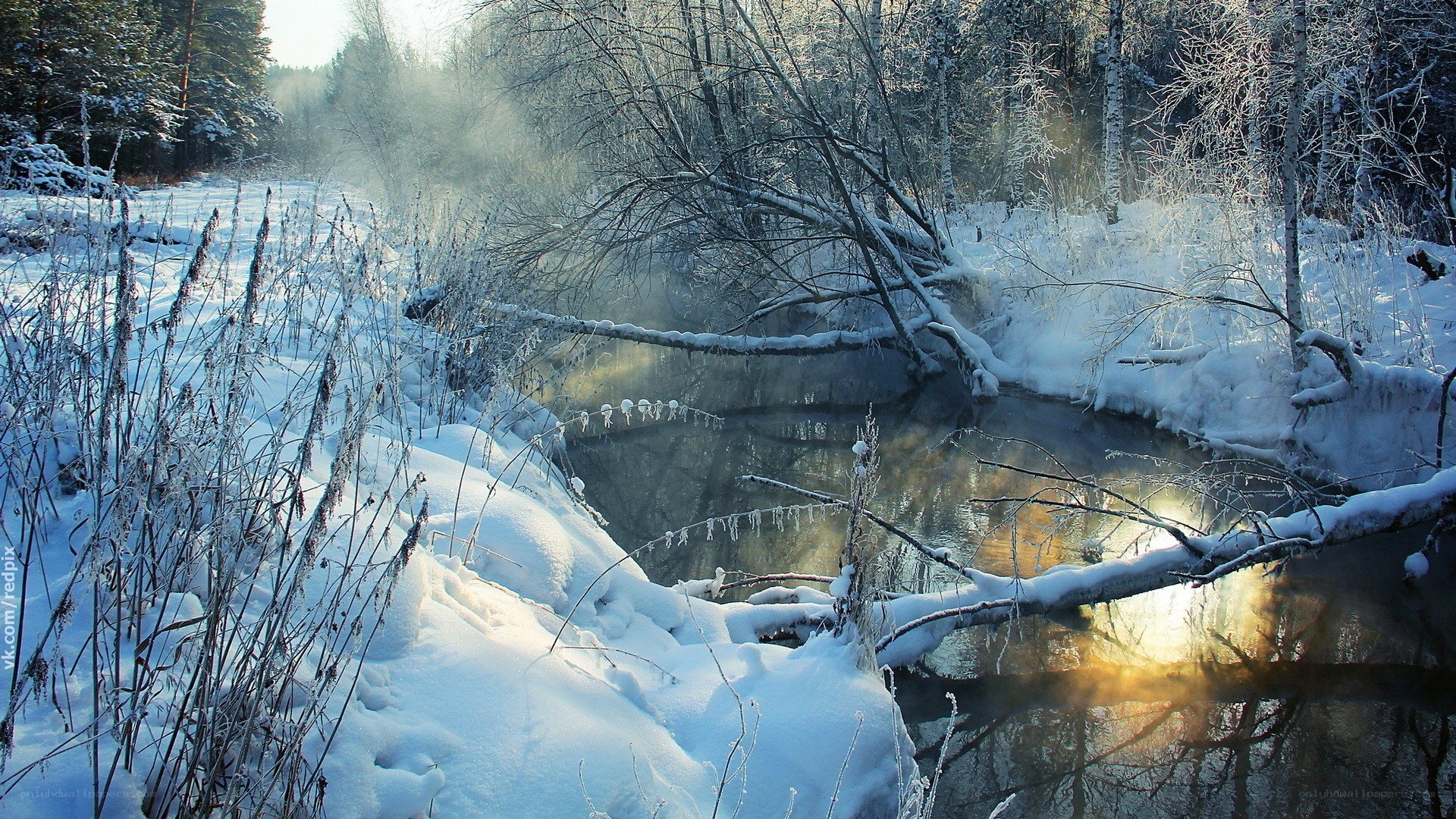 Snowy river in winter forest