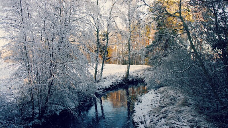 Snowy river in winter forest