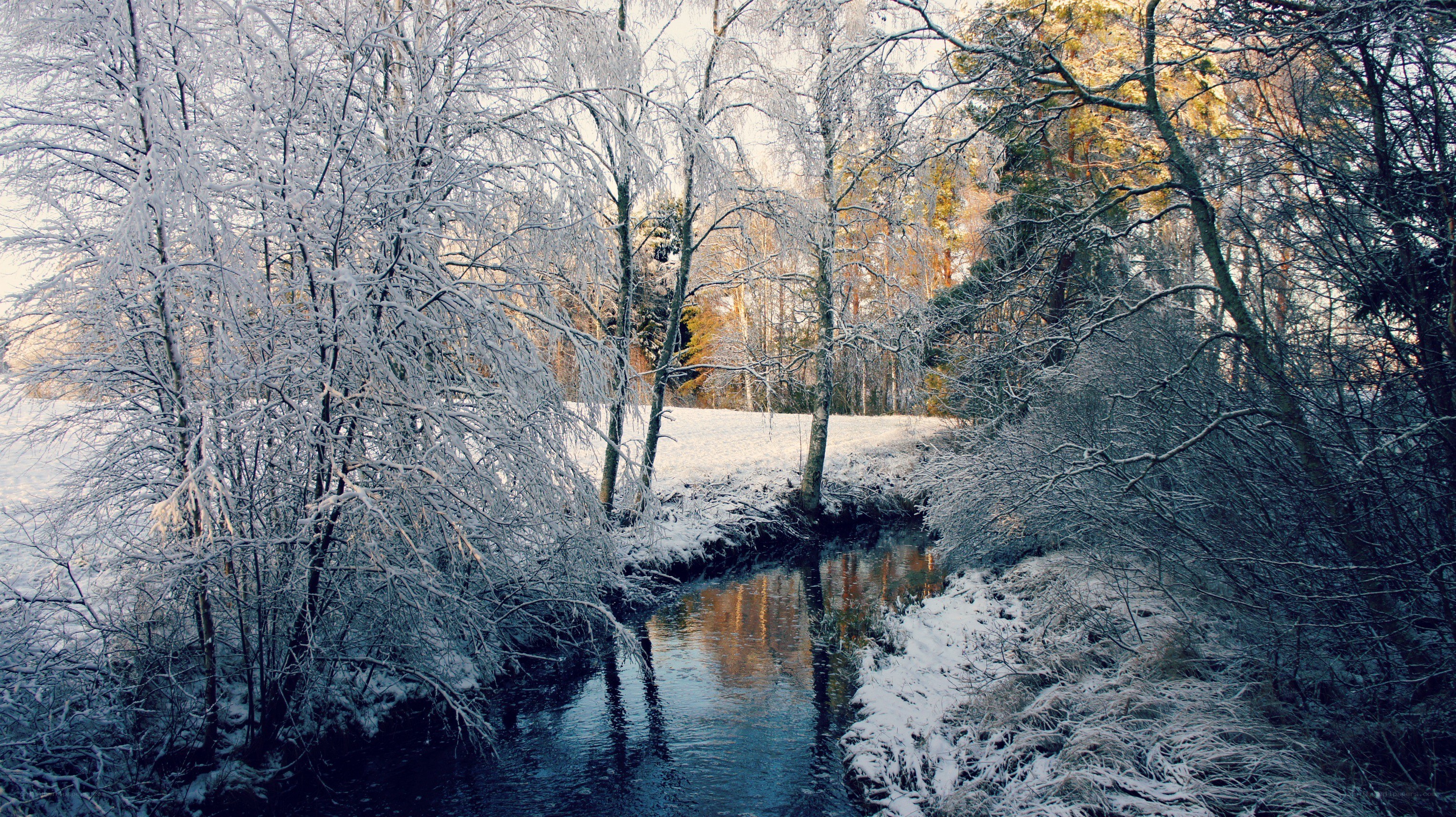 Snowy river in winter forest