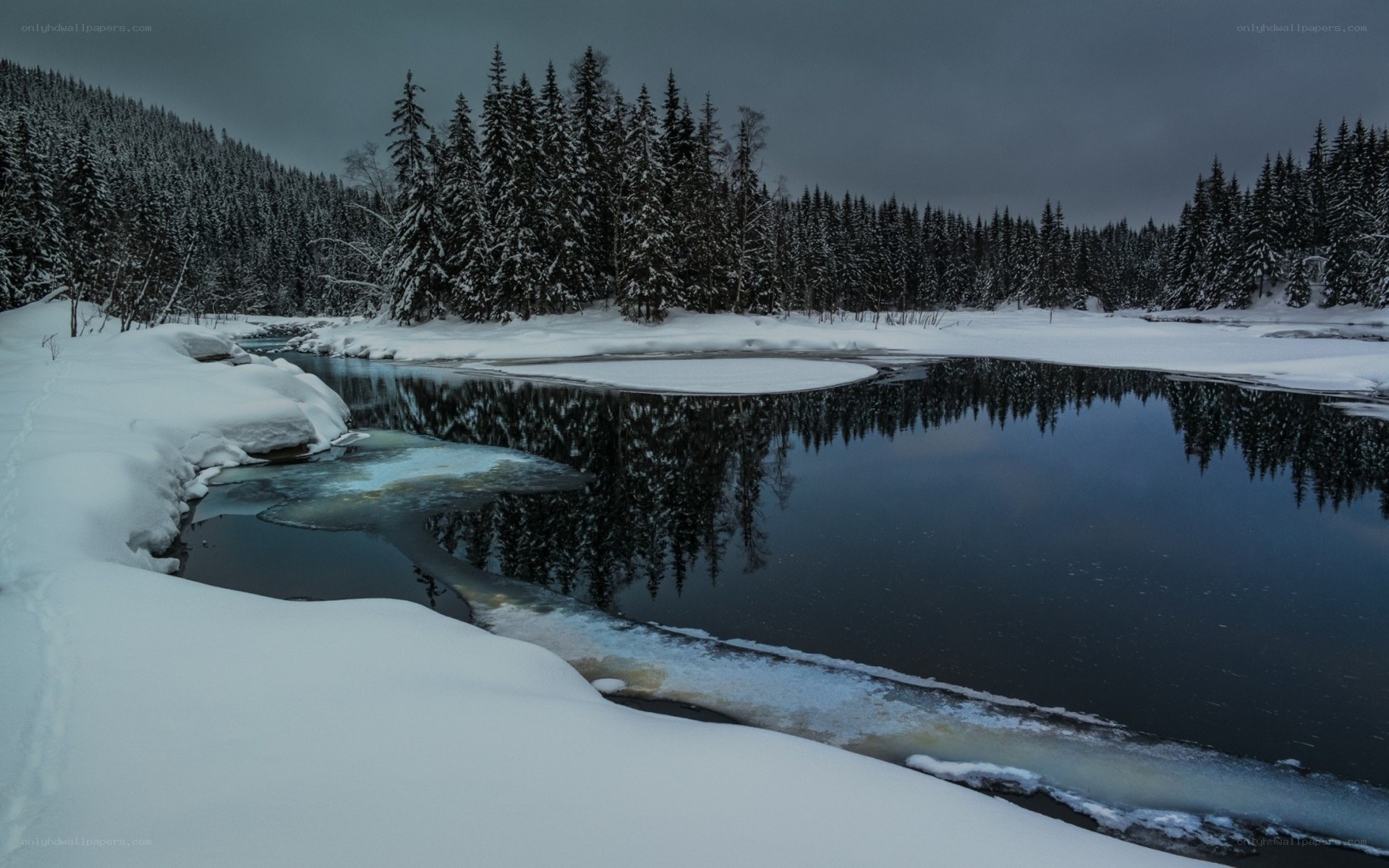 Snowy river in winter forest