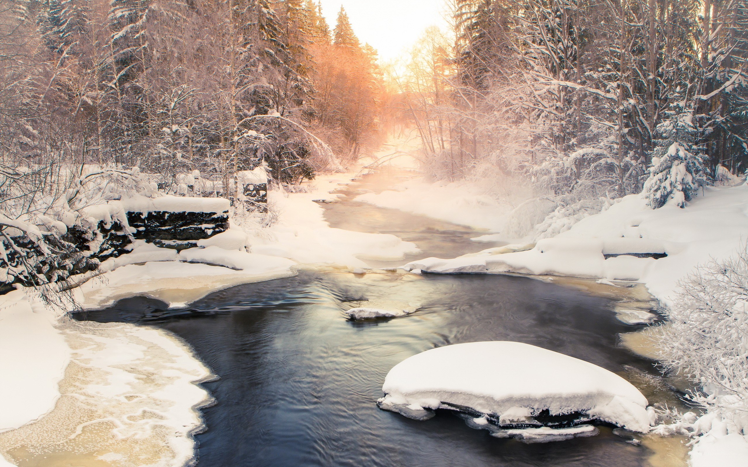snowy river in winter forest