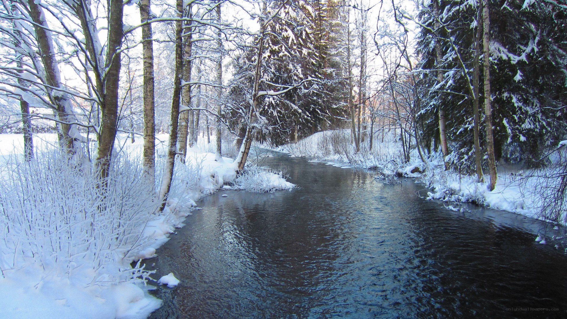 snowy river in winter forest