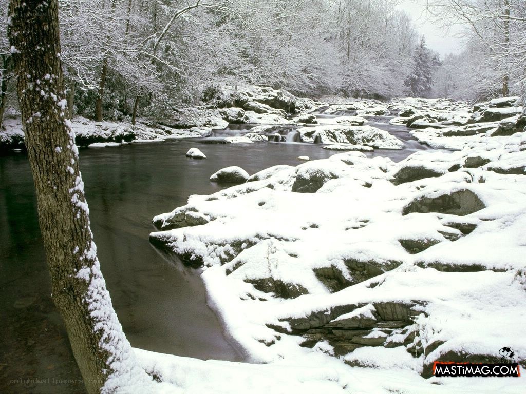 Snowy river in winter forest